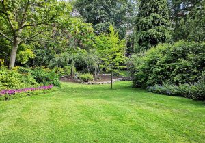 Optimiser l'expérience du jardin à Vaux-Villaine